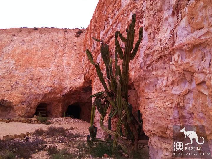 地下城市庫伯佩迪(Coober Pedy)尋寶3日遊