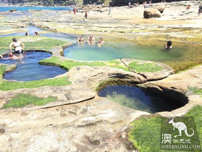 跋山涉水來看妳,悉尼八字湖遊記