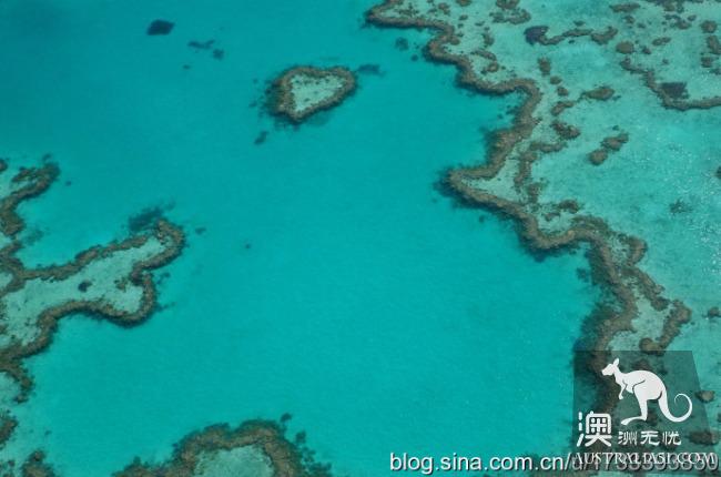 想去大堡礁看心形礁,Airlie Beach這個地方要記住了