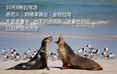 去澳洲旅遊要多少錢?澳洲旅遊費用知多少