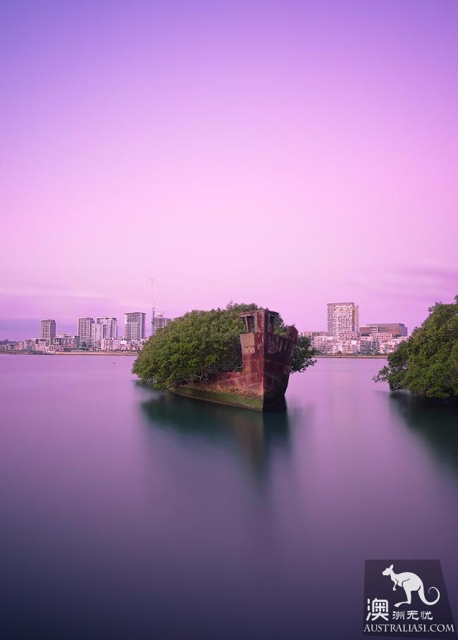 沉船森林，残骸也可以变绿洲，悉尼都市中的奇景