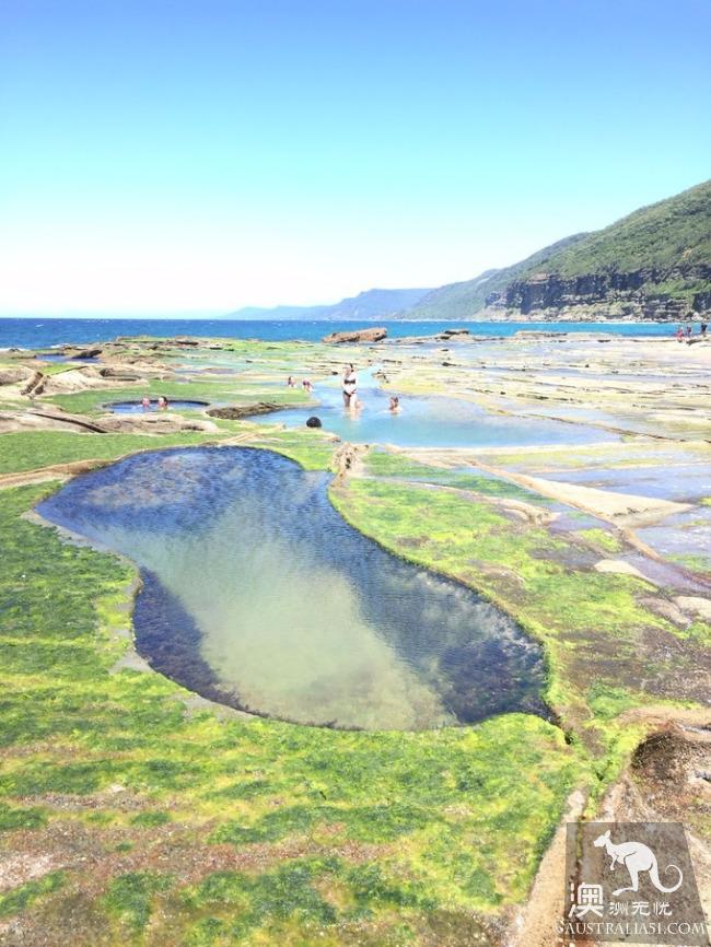 跋山涉水來看妳,悉尼八字湖遊記
