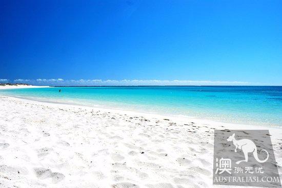 2017年澳洲五大最美海灘,白天堂海灘、沖浪者天堂、努沙主海灘和曼利海灘上榜