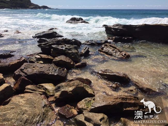 跋山涉水來看妳,悉尼八字湖遊記