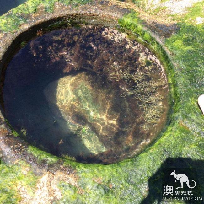 跋山涉水來看妳,悉尼八字湖遊記