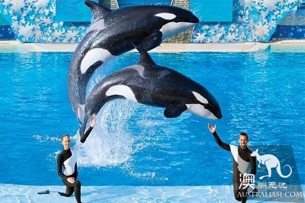 黃金海岸主題公園那麼多,如何選擇?