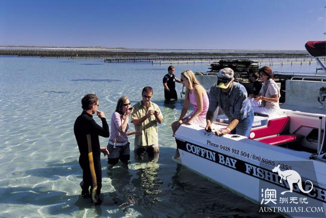 艾爾半島(Eyre Peninsula),並不多見的人間淨土
