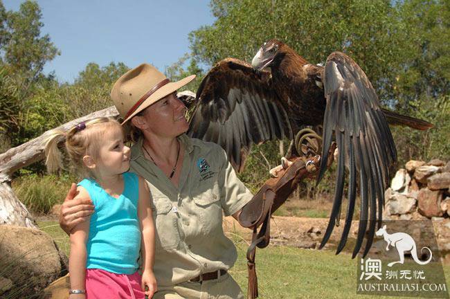 達爾文(Darwin)深度旅遊:探索、冒險、野生動物、原住文化