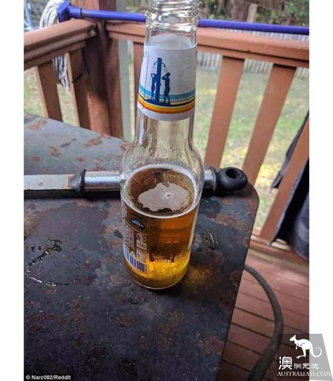 哪张照片最澳洲?这几张照片刷爆社交网络