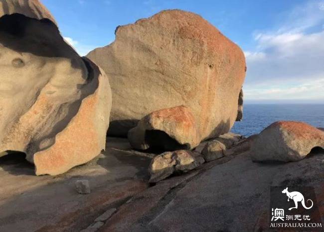 澳洲必去的袋鼠岛，你只需要收藏这一篇就够了！