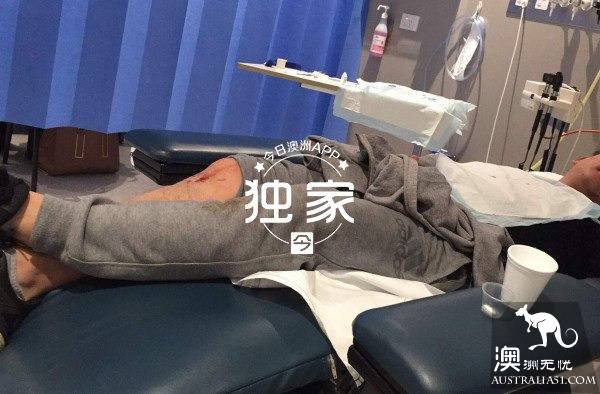 “他们叫嚣捅死我们、强奸我，还想烧店！”卧龙岗华人及留学生成袭击目标，频遭殴抢，多人受伤！