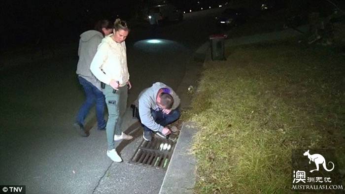 悉尼孕妇遭遇入室抢劫,身中6刀大难不死!