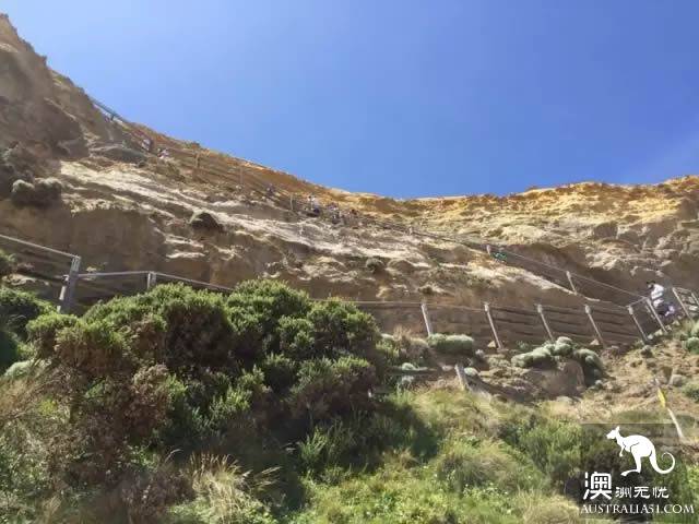馬炎: “十二門徒”其實從來就沒有十二個,告訴妳一些大洋路國傢公園管理員才知道的小“秘密”