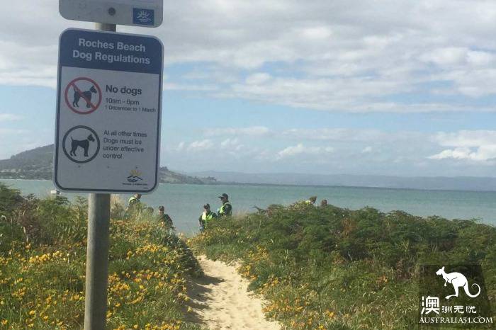 霍巴特男子在海邊遊泳被魔鬼魚蜇死