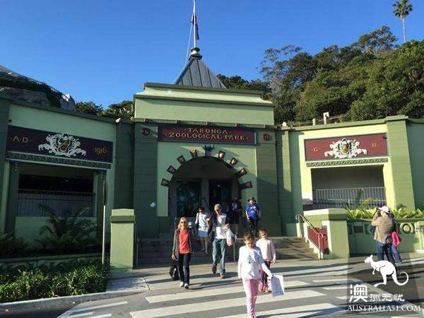 悉尼泰朗加動物園遊玩攻略及動物表演時間