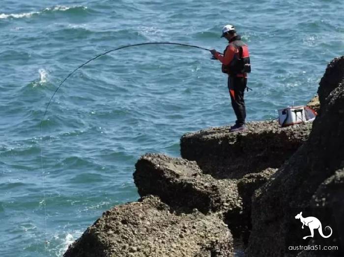 不顧強烈反對,南澳政府禁沿海釣鲷魚叁年