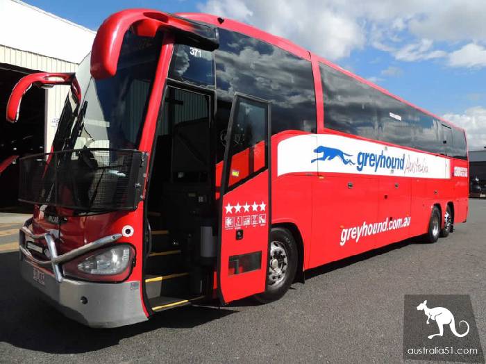 用銅闆輕鬆玩轉澳洲,灰狗巴士(Greyhound Australia)簡介