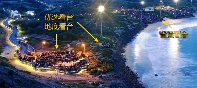 去菲利普島(墨爾本企鵝島)看企鵝歸巢,門票價格和看台詳解