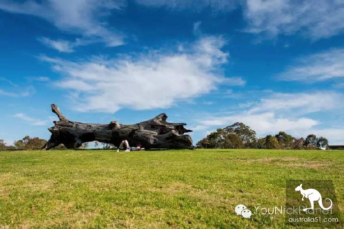 春天到了，到Western Sydney Parklands来场绿野仙踪吧