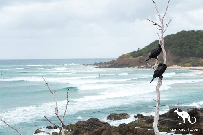 澳洲寶藏小鎮拜倫灣(Byron Bay)交通攻略,上天、入海、看日出都可以!