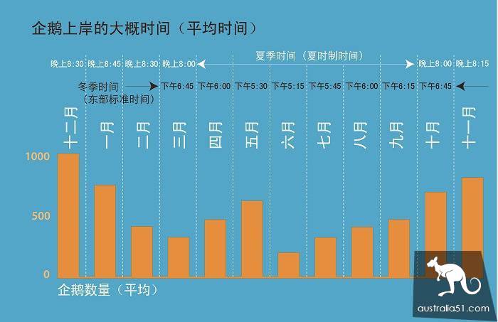 去菲利普島(墨爾本企鵝島)看企鵝歸巢,門票價格和看台詳解