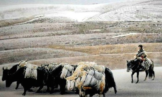 中國水彩畫大師,劉壽祥不敵新冠肺炎在武漢去世