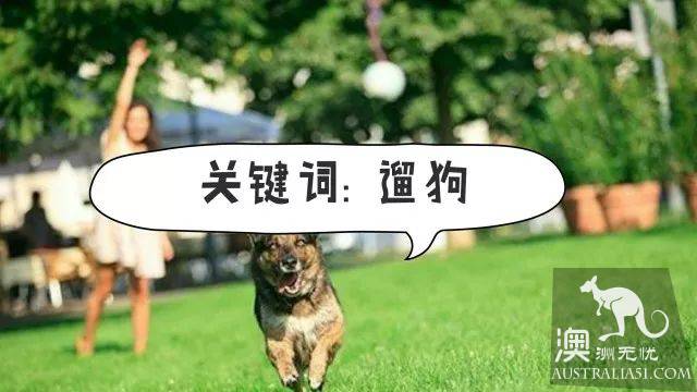 墨爾本公園攻略:喜歡跑步?遛娃?遛狗?這8個絕美公園滿足妳!
