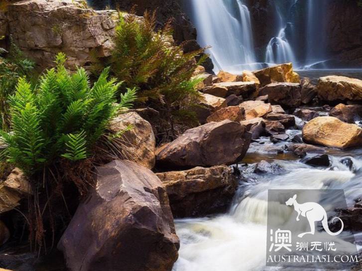 一篇指南帶妳玩遍維州格蘭坪國傢公園(Grampians National Park)