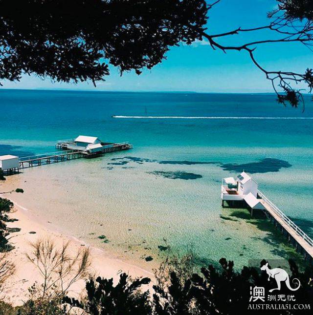 别再去看企鹅泡汤了，来点新鲜感吧，从墨尔本一路向东，吃吃喝喝玩到莫宁顿半岛