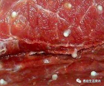 今天一名男孩的死讯让千万人后怕！这是澳洲最震撼人心的悲剧