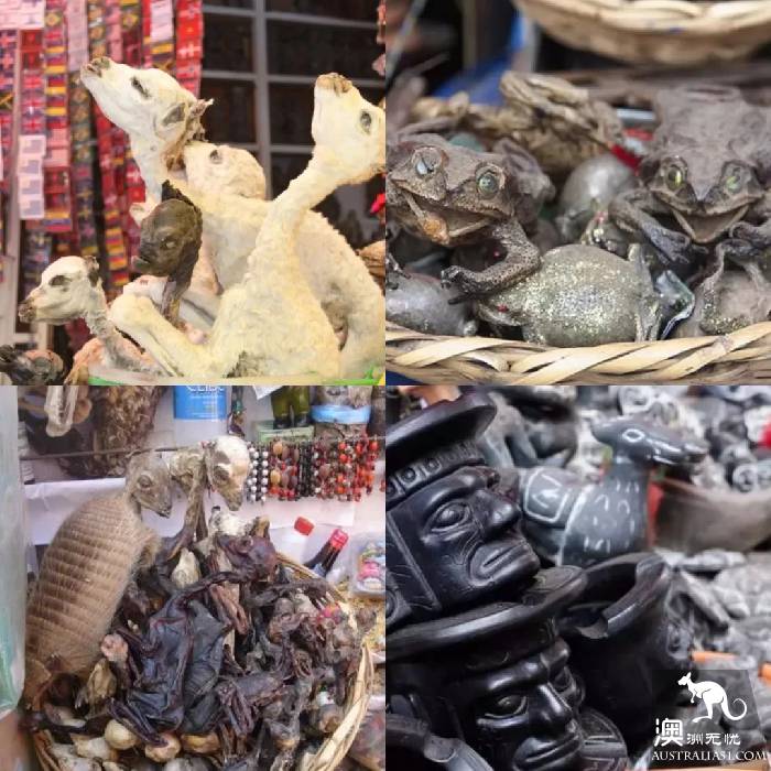全球八大最具特色的市场,墨尔本维妈市场榜上有名,去过五个才算是旅行达人~