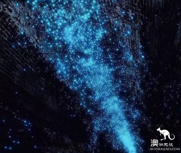 悉尼会有件神奇的事情发生,一群小精灵在悉尼城外,如梦似幻!