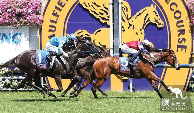 Melbourne Cup結束後,讓我們看看墨爾本眾馬場的前世今生