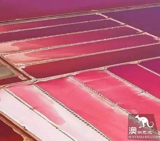 澳洲101個最美最好玩的全在這了,去完此生無憾