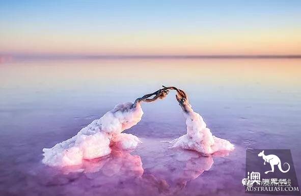 鹽湖攻略:澳洲天空之鏡Lake Tyrrell打卡時間又到啦,水天一色的世外桃源,10月就消失