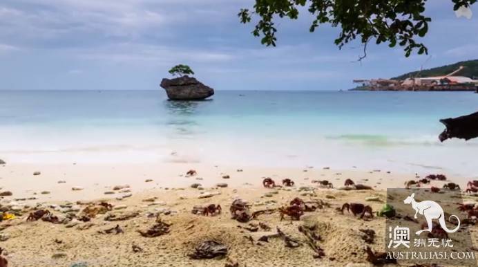 震撼多圖!“紅色浪潮”襲擊澳洲聖誕島,那景象,舉世罕見