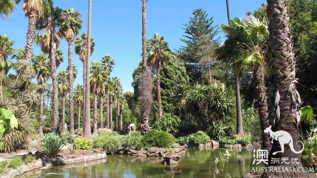 墨爾本公園攻略:喜歡跑步?遛娃?遛狗?這8個絕美公園滿足妳!