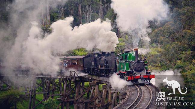 從墨爾本走向世界:普芬比利蒸汽小火車(Puffing Billy Railway)