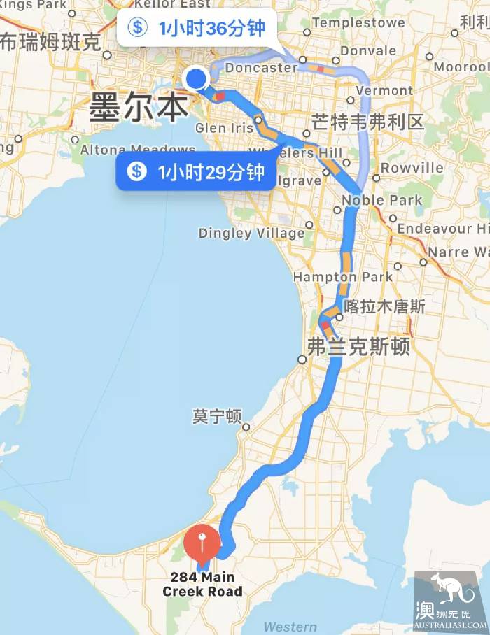 墨尔本三处最美薰衣草园，我要去当浪漫仙子啦