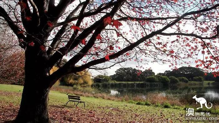 悉尼最適合沒事就去溜達的10個公園!在天晴那日 去一一打卡吧