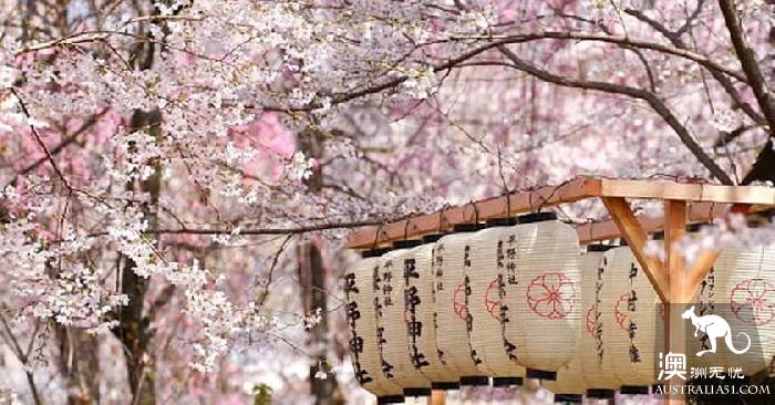 開春啦,悉尼週邊“拈花惹草”全攻略,妳學會了嗎?