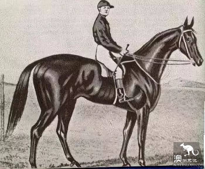 不去看賽馬怎能算在墨爾本待過?2018 Melbourne Cup 最強攻略在此