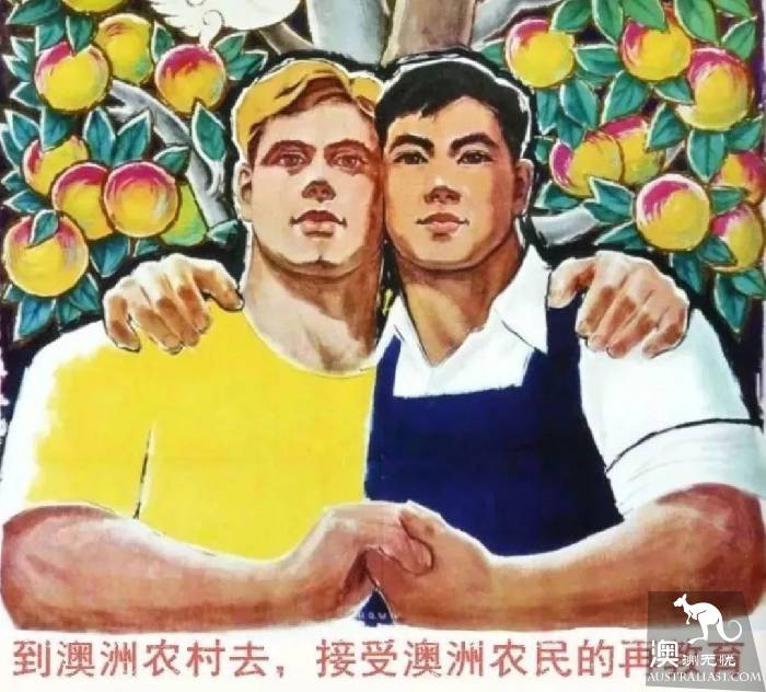 “别往我这赶!”澳偏远地区怒怼“移民下乡”政策