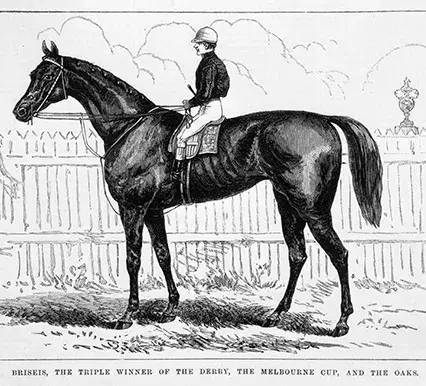 不去看賽馬怎能算在墨爾本待過?2018 Melbourne Cup 最強攻略在此