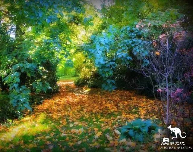 澳洲101個最美最好玩的全在這了,去完此生無憾