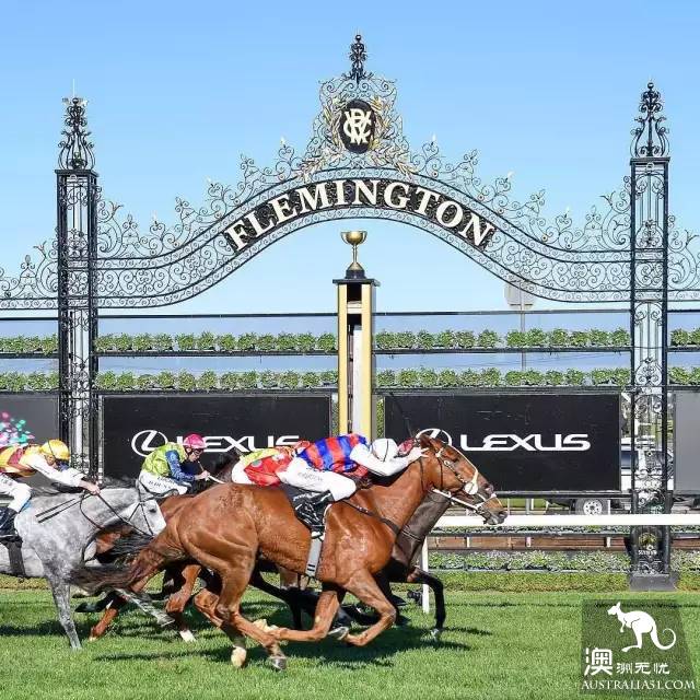 不去看賽馬怎能算在墨爾本待過?2018 Melbourne Cup 最強攻略在此