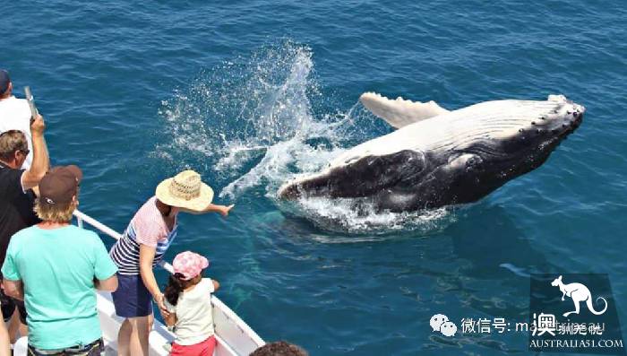 我在世界最大的沙島:費沙島等妳