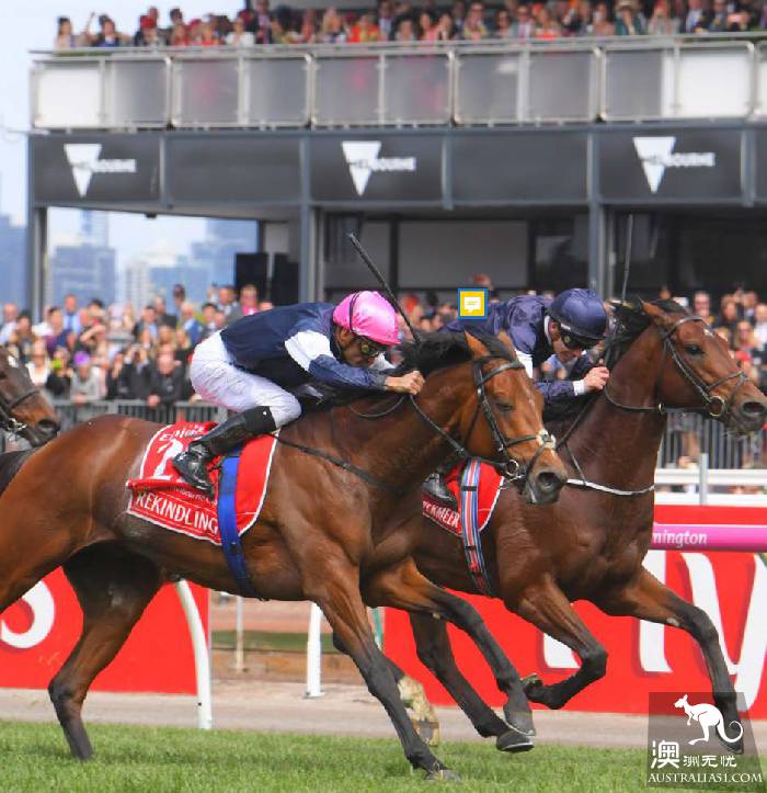 不去看賽馬怎能算在墨爾本待過?2018 Melbourne Cup 最強攻略在此