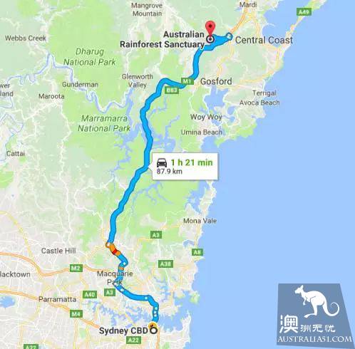 悉尼会有件神奇的事情发生,一群小精灵在悉尼城外,如梦似幻!