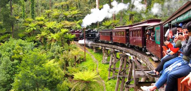 從墨爾本走向世界:普芬比利蒸汽小火車(Puffing Billy Railway)